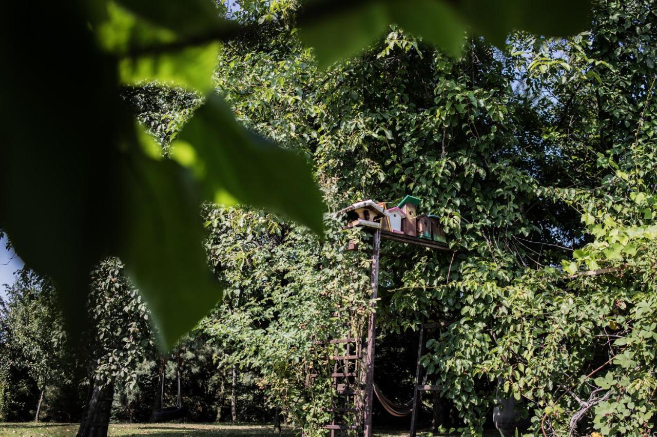 Apartamenty Na Kasztelanskiej Spytkowice  エクステリア 写真